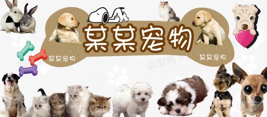 以太坊钱包ui