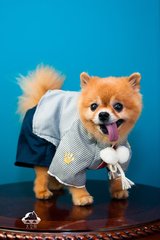 Kcash钱包钱包