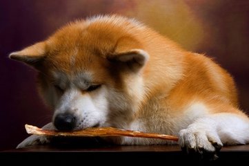 tp钱包中文版安卓官方1.25
