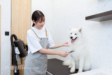 im钱包官网下载地址