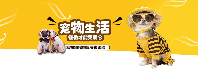 imToken钱包官网地址