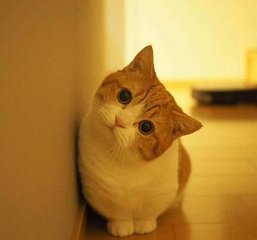 imtoken钱包官方下载地