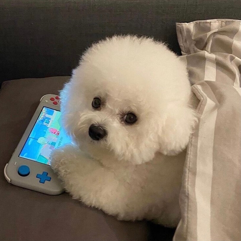imToken官网链接